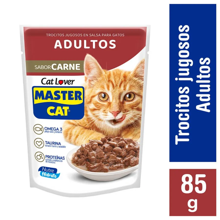 mastercatpouchcarne
