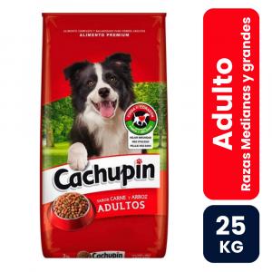 cachupin